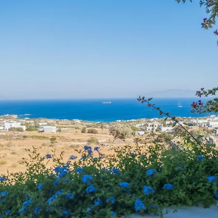 Cycladic With Seaview And Swimming Pool Πάρος